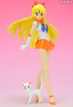 Sailor Moon Figures: Usagi Tsukino & Sailor Mercury