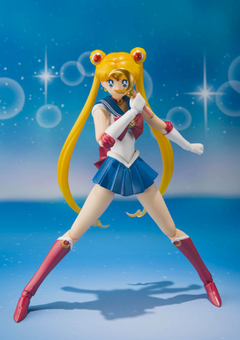 Sailor Moon Figures: Usagi Tsukino & Sailor Mercury
